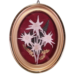 quadretto-ovale-con-stelle-alpine