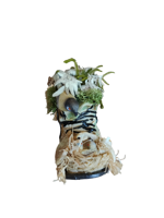 scarpone-in-resina-con-stelle-alpine-vere