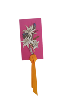 segnalibro-fatto-a-mano-con-stelle-alpine-vere-piccolo