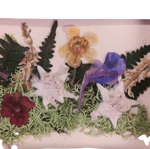 quadretto-oro-rettangolare-orizzontale-con-stelle-alpine-e-fiori