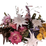 tronchetto-decorato-a-mano-con-fiori-secchi-e-stelle-alpine-vere