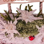 benvenuti-con-stelle-alpine-vere-e-fiocco