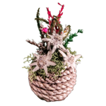 sfera-in-corda-decorata-a-mano-con-stelle-alpine-vere-e-fiori-secchi