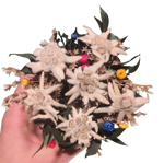 bronzina-decorata-a-mano-con-stelle-alpine