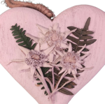 cuore-bianco-con-stelle-alpine