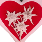 cuore-con-stelle-alpine