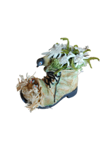 scarpone-in-resina-con-stelle-alpine-vere