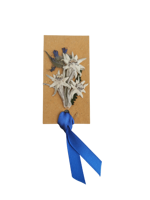 segnalibro-fatto-a-mano-con-stelle-alpine-vere-piccolo