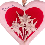 cuore-con-stelle-alpine