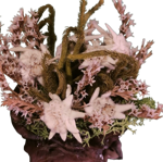 scarpone-in-resina-con-stelle-alpine-vere