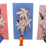 segnalibro-fatto-a-mano-con-stelle-alpine-vere-piccolo