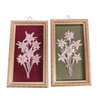 quadretto-rettangolare-con-stelle-alpine