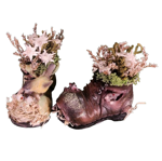 scarpone-in-resina-con-stelle-alpine-vere