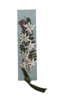 segnalibro-fatto-a-mano-con-stelle-alpine-vere-grande