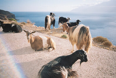 d496e2_1e53aab3a5d44ba09e1508eb3152fff1mv2