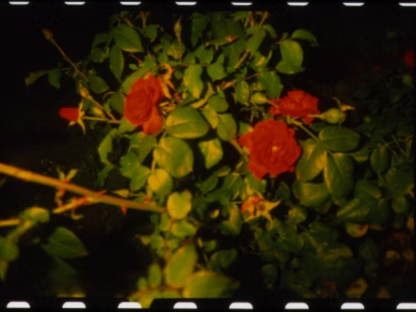 imgi_96_d496e2_ca2edb3a802a4ac0a96a0b8370b74031~mv2