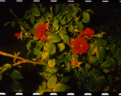 imgi_96_d496e2_ca2edb3a802a4ac0a96a0b8370b74031~mv2