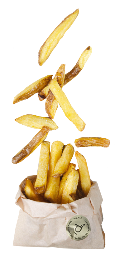 plante_lab_patateallaterzad mobile pn