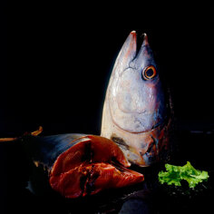 13c96557d82cf8d0746552fa1b2ab2303280747d 13c96557d82cf8d0746552fa1b2ab2303280747d