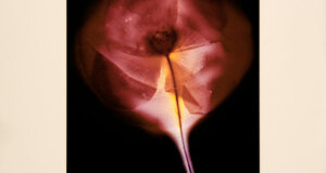 screenshot 2025-10-09 alle 09.20.06