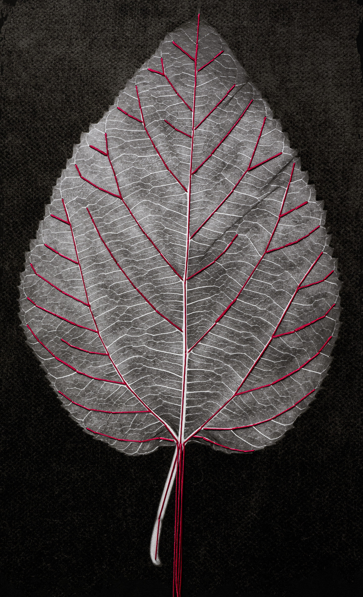 Particolare del polittico Fili di Seta.