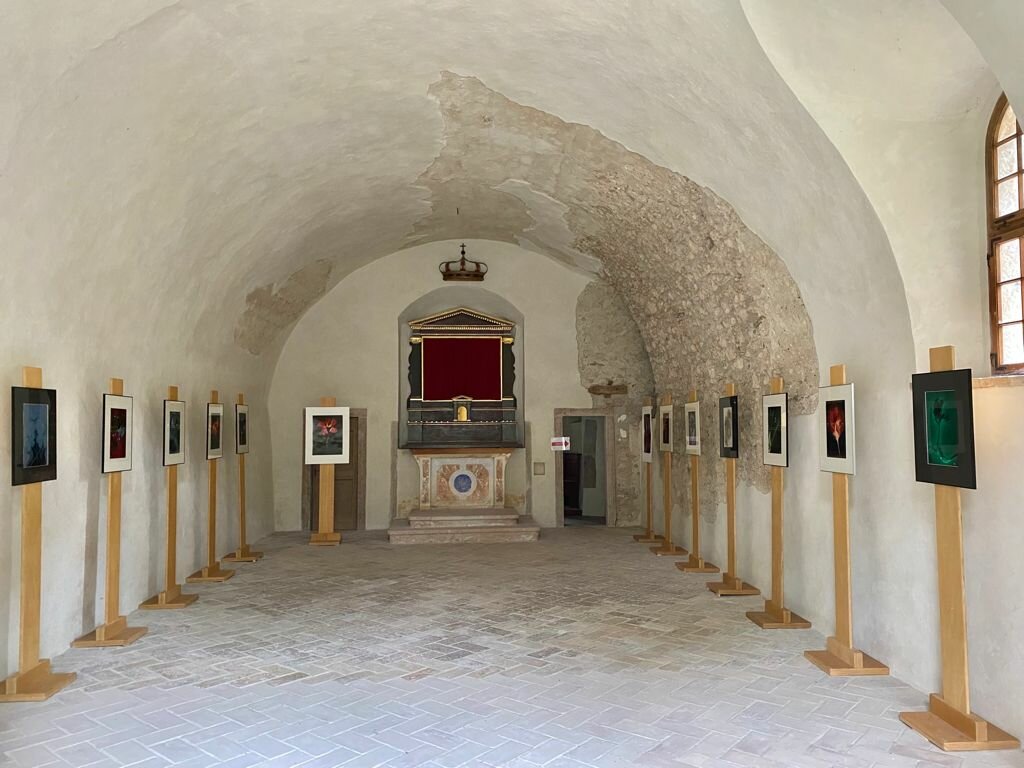 Chiesa di S. Martino e mostra Sunny Flowers.