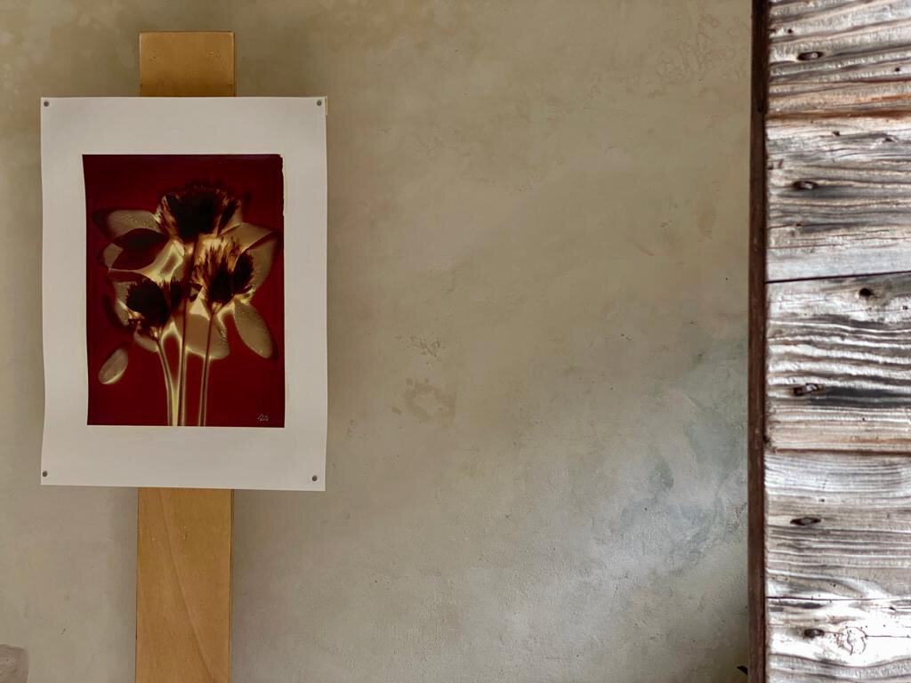 Domani sabato 21 agosto la mostra Sunny Flowers sarà aperta dalle 14.00 alle 19.00.