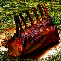 97841447494f434ab6d1234409bd4cb11f8c0a8e 97841447494f434ab6d1234409bd4cb11f8c0a8e