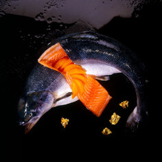 a178b774699524e4addbd36f0470c2b461c718a1 a178b774699524e4addbd36f0470c2b461c718a1