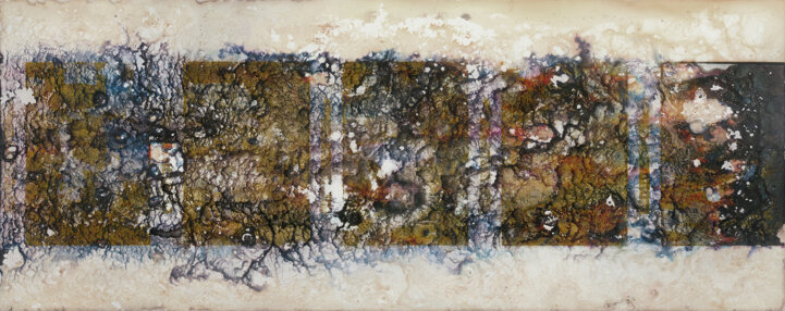 d66e4d76092c61540111168acb585aec3631eb1d