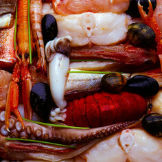 e2704c9e984e56eb917097bbbd1bd501997203f2 e2704c9e984e56eb917097bbbd1bd501997203f2