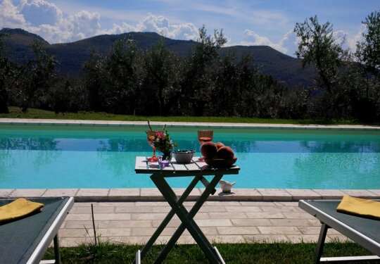 dsc_2522.jpeg dsc_2522.jpeg