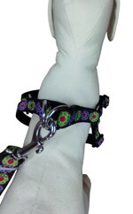 coordinato-pettorina-ad-h-e-guinzaglio-in-nylon-nero-con-fiori-ricamati