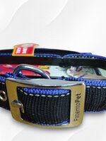 collare-cane-con-maniglia-elastica-imbottita