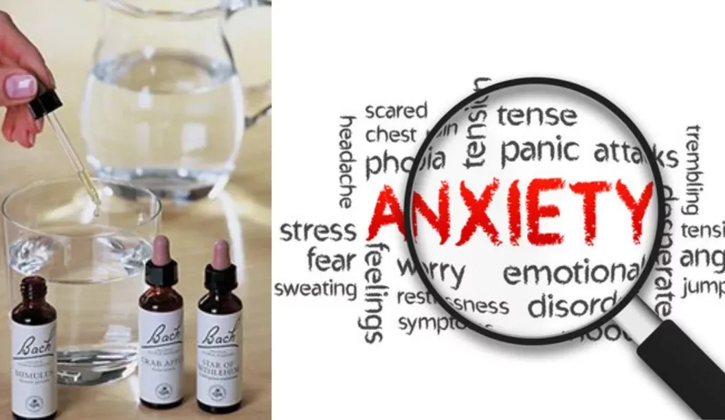 imgi_11_7cde61556051222460123b4e7b02aa14edeae66d