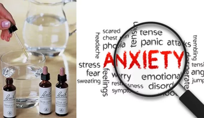 imgi_11_7cde61556051222460123b4e7b02aa14edeae66d