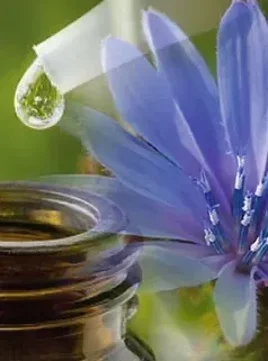 imgi_12_imgi_3_untitled design