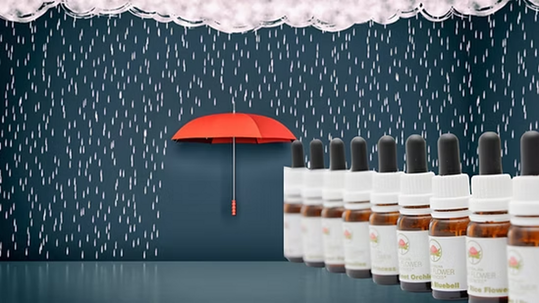 imgi_1_fiori-australiani