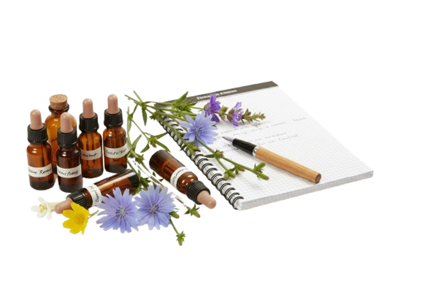 gemini_generated_image_3xgjhf3xgjhf3xgj-removebg-preview