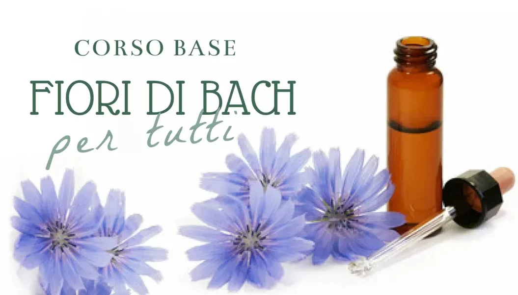 imgi_5_f8e2903c9079fb28a10a8755d9ab6ab576474458