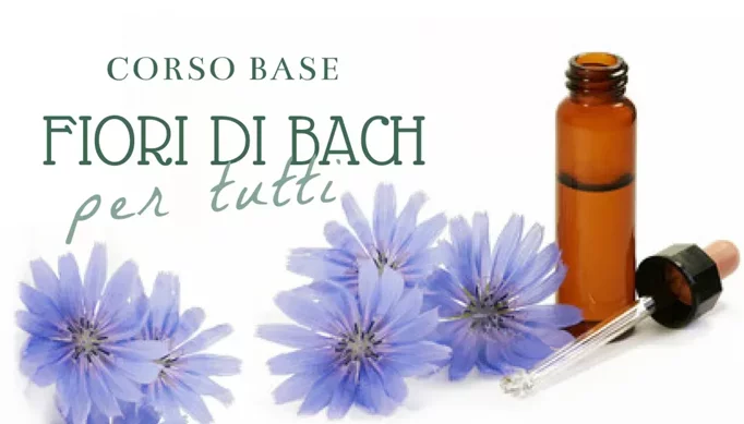 imgi_5_f8e2903c9079fb28a10a8755d9ab6ab576474458