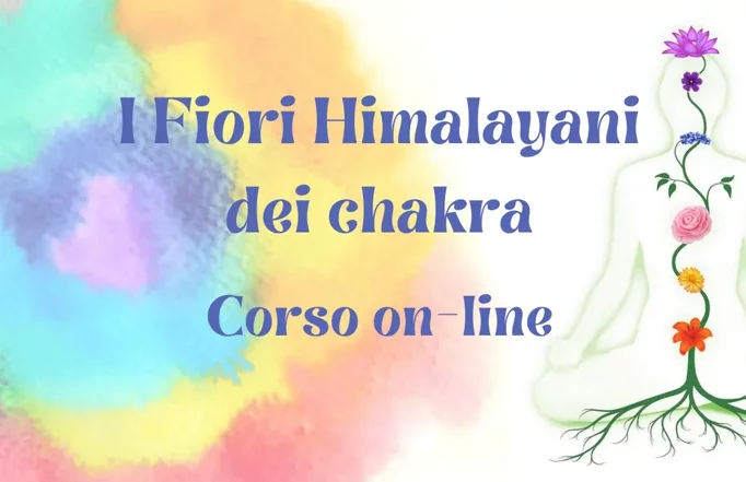 imgi_6_561b62f366e266cb0c66633b6f565544e1042946