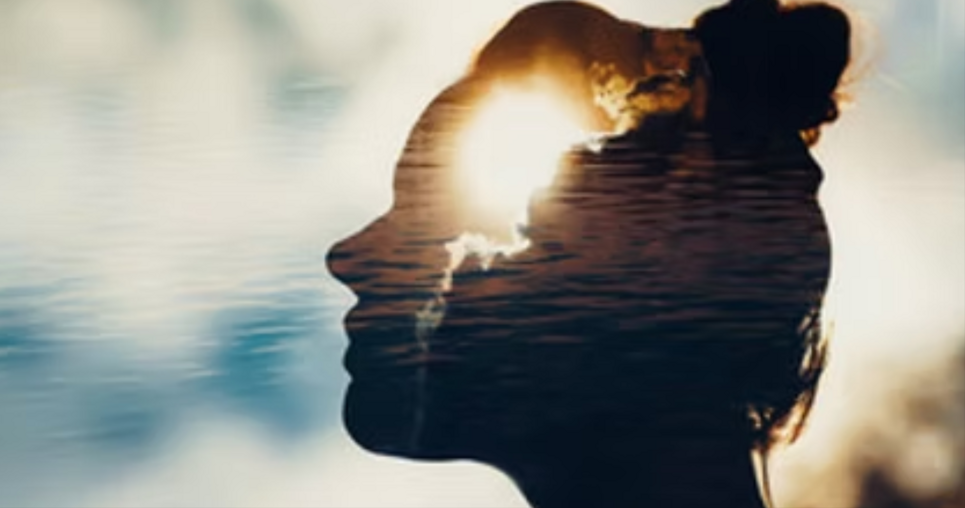 84921191-107c-4342-a9af-30a1519e1620