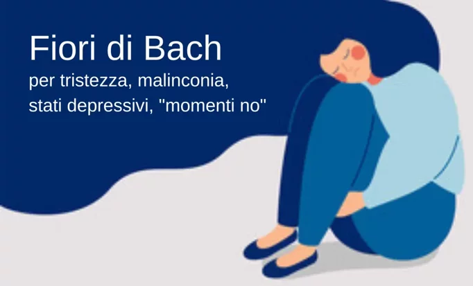 imgi_9_9029aa16f0befce184532e56bb5ee153eb8d1d92