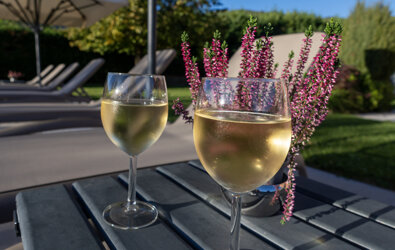 dsc00097.jpeg dsc00097.jpeg