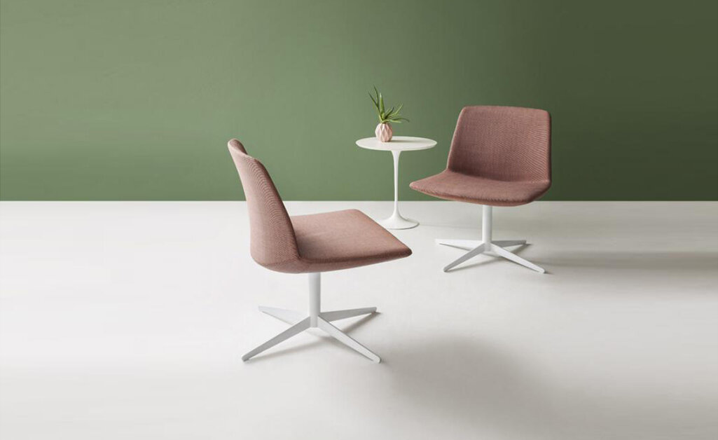 gaber_kanvas soft.jpeg