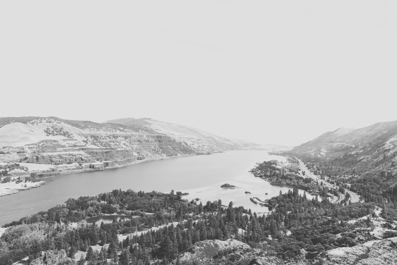 aerial-grayscale-shot-beautiful-landscape-with-lake-fir-trees-mountains.jpeg