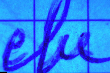 imgi_198_default