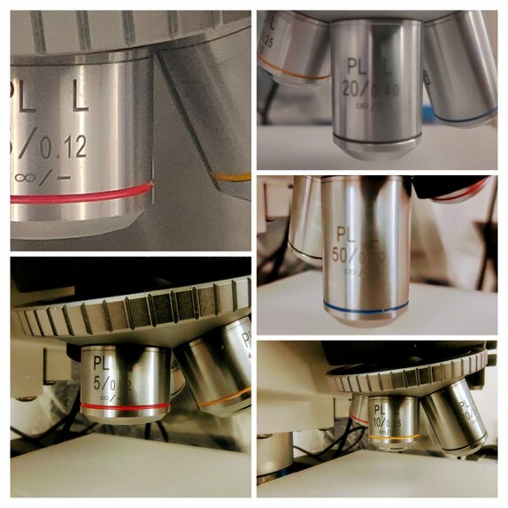 20240224_170754-collage-1536x1536.jpeg