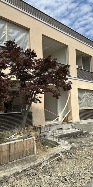 img_4355.jpeg img_4355.jpeg